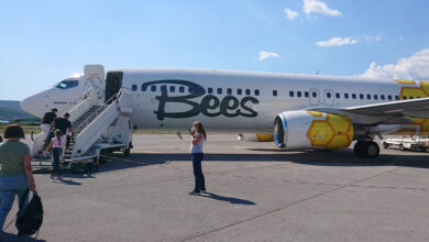 Авіакомпанія Bees Airline