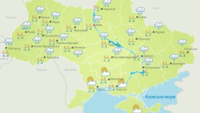 Скрін: Погода в Україні 17 січня (meteo.gov.ua)