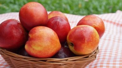 нектаринка