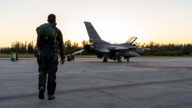 F-16, ілюстративне фото з відкритих джерел