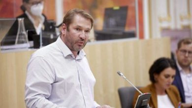 Депутат від Зелених Клеменс Штаммлер