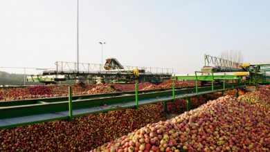 Компанія USPA Fruit планує розширювати присутність у Нігерії.