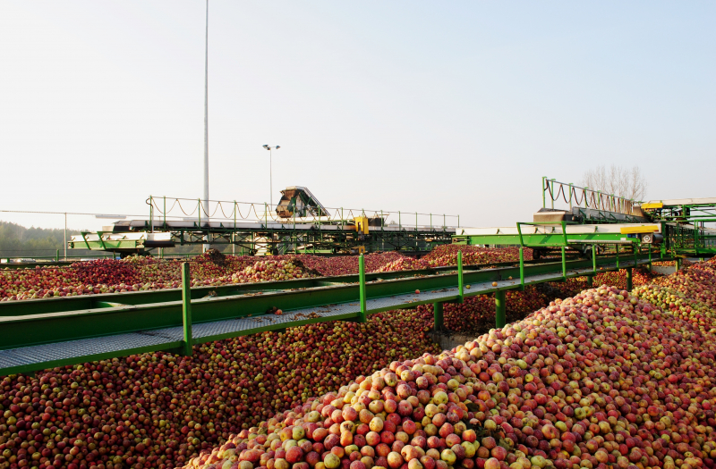 Компанія USPA Fruit планує розширювати присутність у Нігерії.