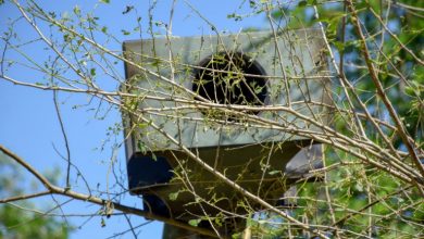 Фото — Угруповання Об'єднаних сил (Східне Угруповання Військ)