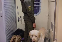 Військовослужбовець Валерій та його собака Ермі ДАРІЯ РУБАН (@DARIA_BRONSKA)