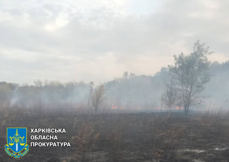  Росіяни завдали авіаударів по передмістю Харкова: є поранені 