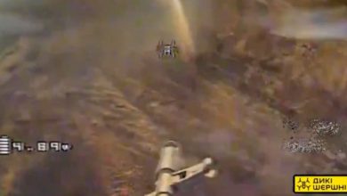 Скріншот з відео "Дикі Шершні"