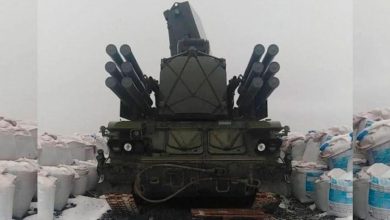 "Панцирь-СМ-СВ"