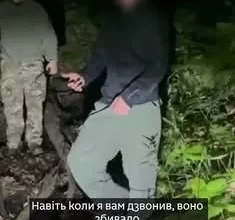 Киянин рятувався від ведмедиці на дереві під час спроби незаконно перетнути кордон