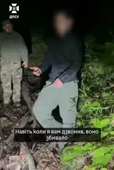 Киянин рятувався від ведмедиці на дереві під час спроби незаконно перетнути кордон