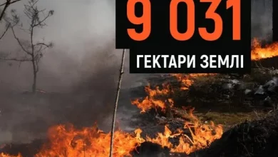 ДСНС повідомила про тисячі весняних пожеж на відкритих територіях України