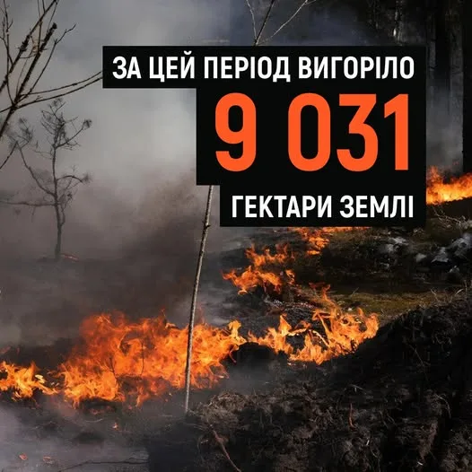 ДСНС повідомила про тисячі весняних пожеж на відкритих територіях України