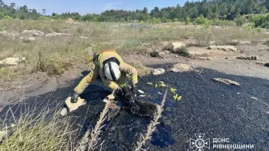 На Рівненщині рятувальники дістали собаку з ями зі смолою