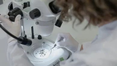 У Берліні зафіксували активне поширення вірусу Західного Нілу