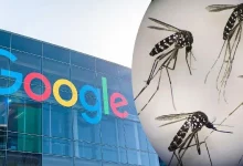 Google планує випустити до 32 мільйонів заражених комарів у США