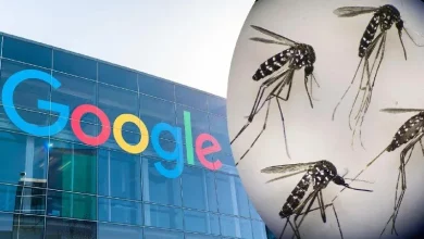 Google планує випустити до 32 мільйонів заражених комарів у США