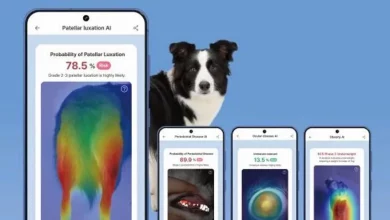 Samsung інтегрує ШІ-діагностику хвороб тварин у смартфони Galaxy