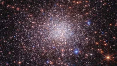James Webb та Hubble виявили новий клас реліктових об’єктів у Чумацькому Шляху