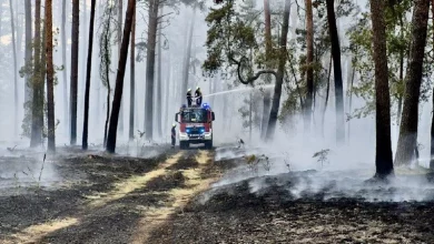 Поблизу Берліна спалахнула масштабна лісова пожежа на тлі рекордної спеки