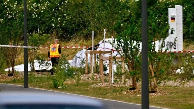У Франції розбився німецький приватний літак, загинули 11 людей