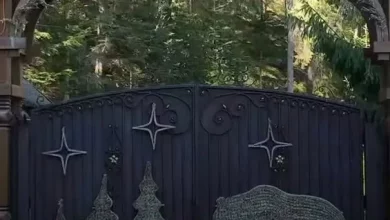 Колишньому директору «Свалявського лісгоспу» повідомили про підозру у справі «дачі Медведчука»