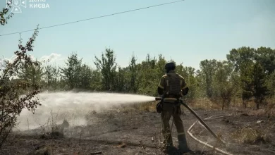 У Голосіївському районі Києва ліквідували пожежу сухої трави площею 1200 кв.