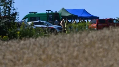 Уряд Польщі підтвердив: ракета, що впала біля Любліна, була російською Х-101
