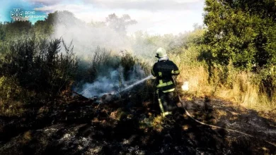 На Київщині чоловік загинув під час пожежі в екосистемі, постраждала літня жінка