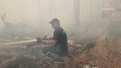 На Житомирщині рятувальники чотири дні гасили лісову пожежу в Коростенському районі