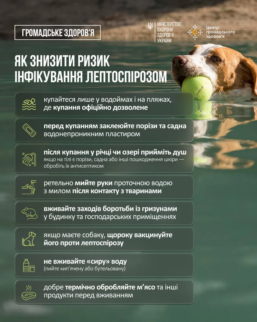 В Україні за п’ять місяців 2026 року зафіксували 32 випадки лептоспірозу