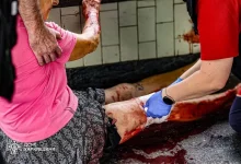 У Київському районі Харкова поранено п’ятьох людей через удар російського дрона