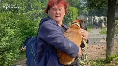 У Вишневому евакуювали понад 600 людей після російської атаки