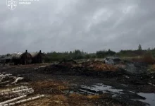 До суду передали справу про незаконне виробництво деревного вугілля на Житомирщині