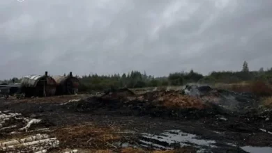 До суду передали справу про незаконне виробництво деревного вугілля на Житомирщині