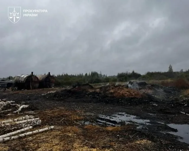 До суду передали справу про незаконне виробництво деревного вугілля на Житомирщині