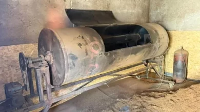 На Тернопільщині викрили незаконне виробництво тютюну: вилучено понад 3,3 тонни сировини