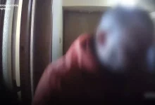 Руслан Кравченко: ліквідовано міжнародну наркомережу, що діяла в Україні, Словаччині та Чехії
