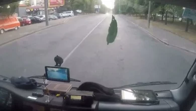У Рівному рятувальники звільнили 15-річну дівчину з поштомату