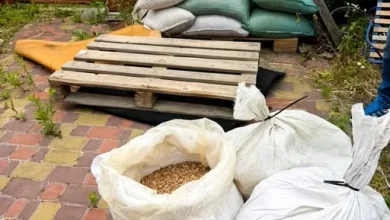 На Рівненщині викрили підпільний цех з обробки бурштину, вилучено 656 кг каміння