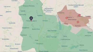 Російський FPV-дрон убив останню жительку села Токарівка на Харківщині