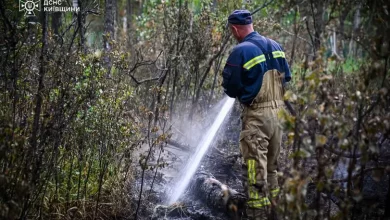 У Чорнобильській зоні відчуження повністю ліквідували лісову пожежу