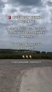 Після ударів СБС в Азовському морі російські порти зупинили прийом зерна