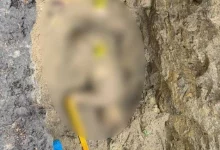 Нацполіція показала ексгумовані тіла двох братів, убивство пов’язують із комбригом 155-ї бригади