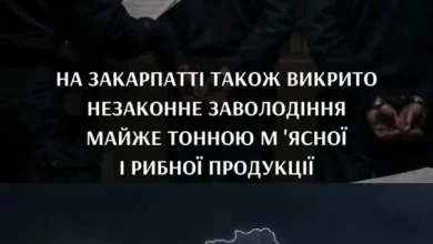 Постачання продуктів для в’язниць на понад 100 млн грн здійснювали за підробленими документами