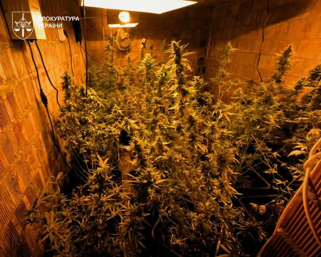 Спецоперація «Джентельмени-2026»: 435 обшуків і ліквідація 12 нарколабораторій