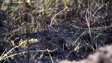 На Київщині рятувальники загасили пожежу лісової підстилки в зоні відчуження