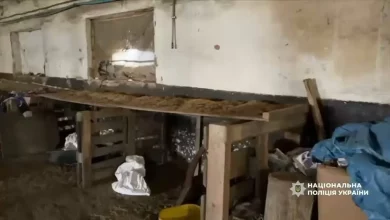 На Закарпатті судитимуть групу за незаконне виробництво та збут тютюну