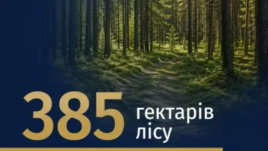 Прокуратура повернула державі 385 га лісових земель на Київщині