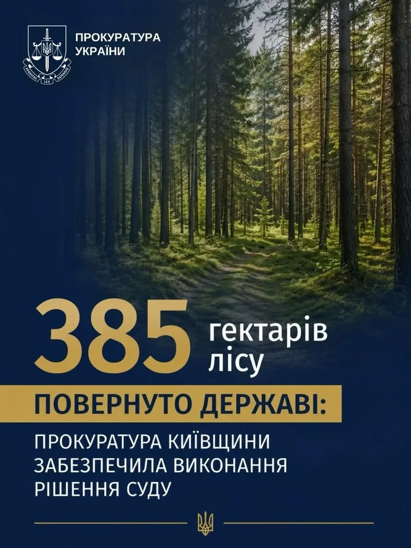 Прокуратура повернула державі 385 га лісових земель на Київщині