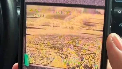 Всеволод Кожемяко повідомив про перехоплення відеосигналу ворожого FPV-дрона над центром Харкова